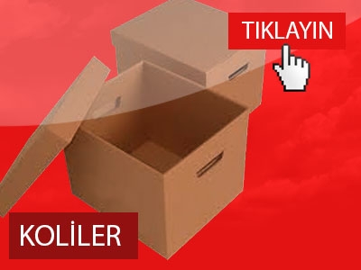 KOLİLER